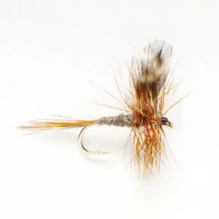 Orvis Dry Flies|Adams