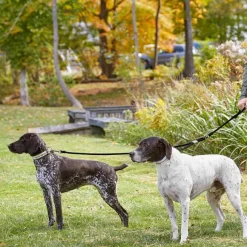 Orvis Leashes|Adjustable Two-Dog Leash