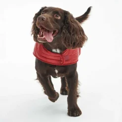 Orvis Dog Jackets|Barbour® Baffle Dog Jacket