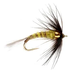 Orvis Wet Flies|Bead Head Flymph - Bwo