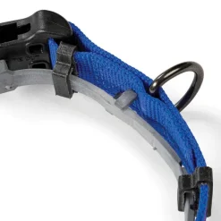 Orvis Collars|Conceal-A-Collar® Personalized Flea And Tick Collar