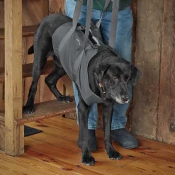 Orvis Steps, Lifts & Traction|Dog Lift