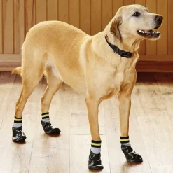 Orvis Steps, Lifts & Traction|Dog Traction Socks