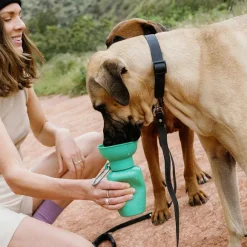 Orvis Travel Accessories|Flip Dog Travel Bottle