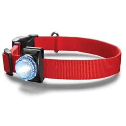 Orvis Collars|Led Safety Collar Light