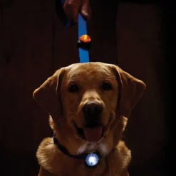 Orvis Collars|Led Safety Collar Light