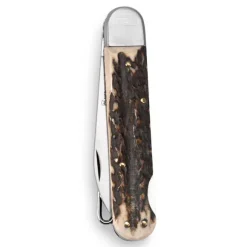 Orvis Knives|Mercury Stag Bird Knife