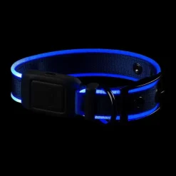 Orvis Collars|Nitedog® Rechargeable Led Dog Collar
