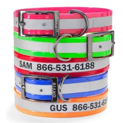 Orvis Collars|No-Stink Reflective Collar