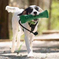 Orvis Toys| Bumper