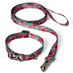 Orvis Collars| X Fishe® Wear Collar