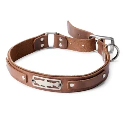 Orvis Collars| X Sight Line Provisions Dog Collar