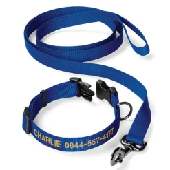 Orvis Collars|Personalized Adjustable Dog Collar With Leash