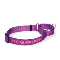 Orvis Collars|Personalized Martingale No-Pull Collar