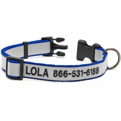 Orvis Collars|Personalized Reflective Collar