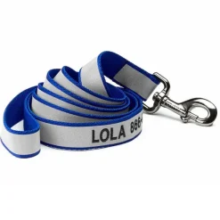 Orvis Leashes|Reflective 6' Leash