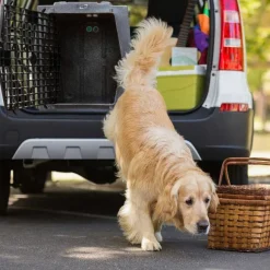 Orvis Cargo Protectors|Ruff Land Performance Dog Kennel