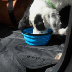 Orvis Travel Accessories|Tough Trail® Collapsible Dog Bowl